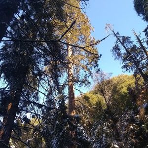 Meet your Posher, Bear